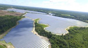 Live Oak Large Ground Mount Solar Array, Candler County, Georgia, solar array, renewable energy, photovoltaic, Interactive Resources, structural engineering