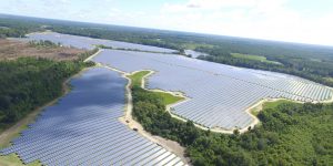 Live Oak Large Ground Mount Solar Array, Candler County, Georgia, solar array, renewable energy, photovoltaic, Interactive Resources, structural engineering