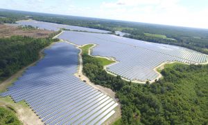 Live Oak Large Ground Mount Solar Array, Candler County, Georgia, solar array, renewable energy, photovoltaic, Interactive Resources, structural engineering