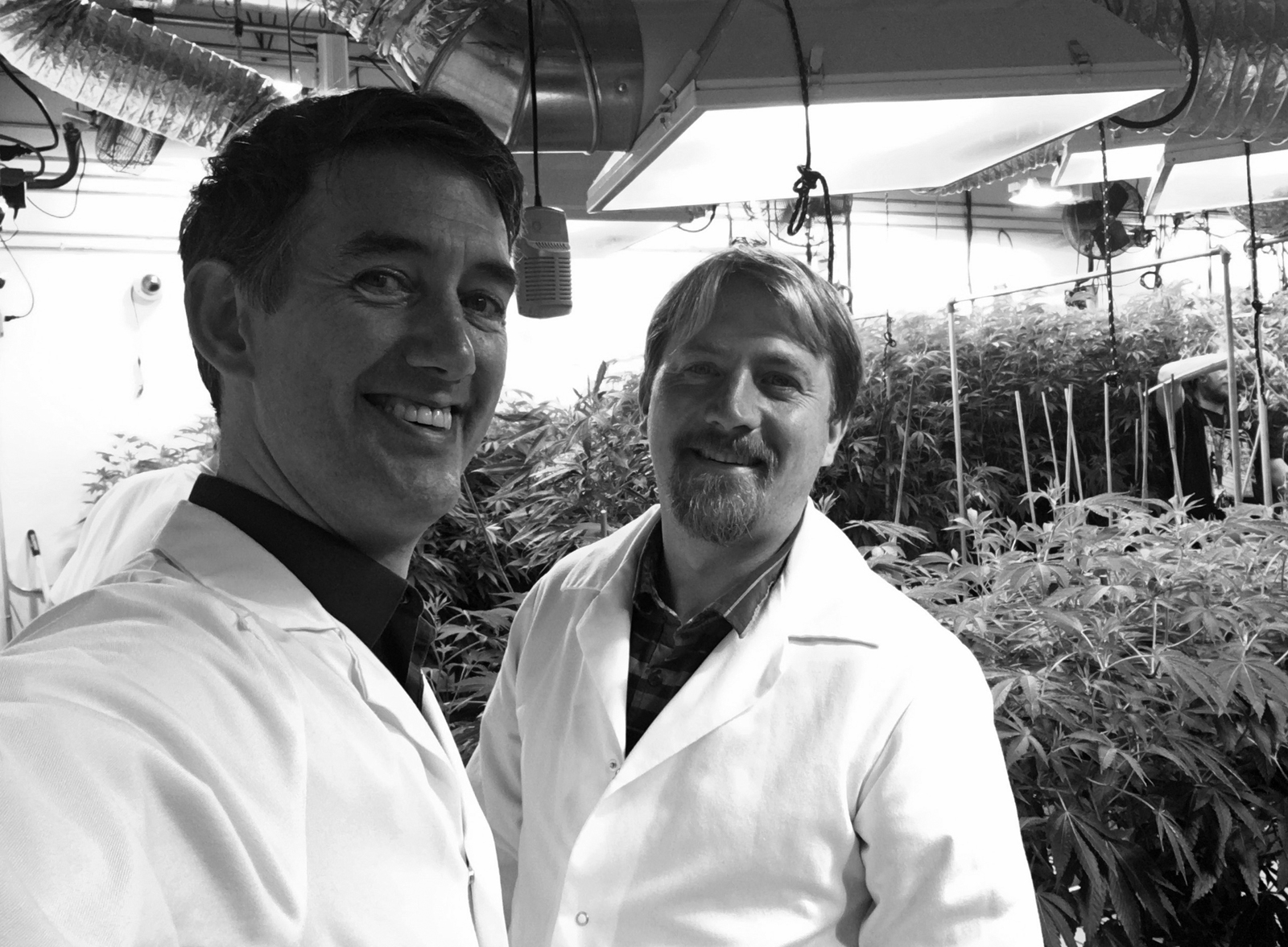 <h2>Cannabis Facility A/E Design Services</h2>
Interactive Resources assists all types of clients in the cannabis industry: from small single grow room operations to large scale facilities; from the adaptive re-use of existing buildings to large scale new purpose built facilities; from urban projects to expansive suburban sites; from evaluating existing structures to the preparation of conditional use permits and building permits for construction. 

We have direct experience designing and permitting facilities licensed to perform cultivation, manufacturing, distribution and volatile extraction activities, this is complemented by our network of experienced engineers/consultants combined with our inhouse A/E capabilities.