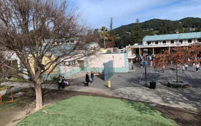 Coleman Elementary School, Roof Replacement